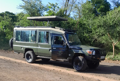 vehicle4_sgi